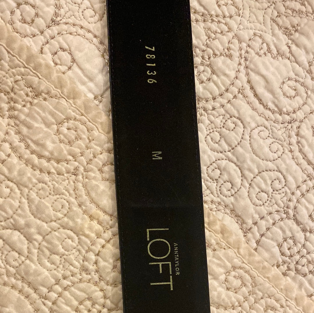 022822D Satin Medium Loft belt with silver HW