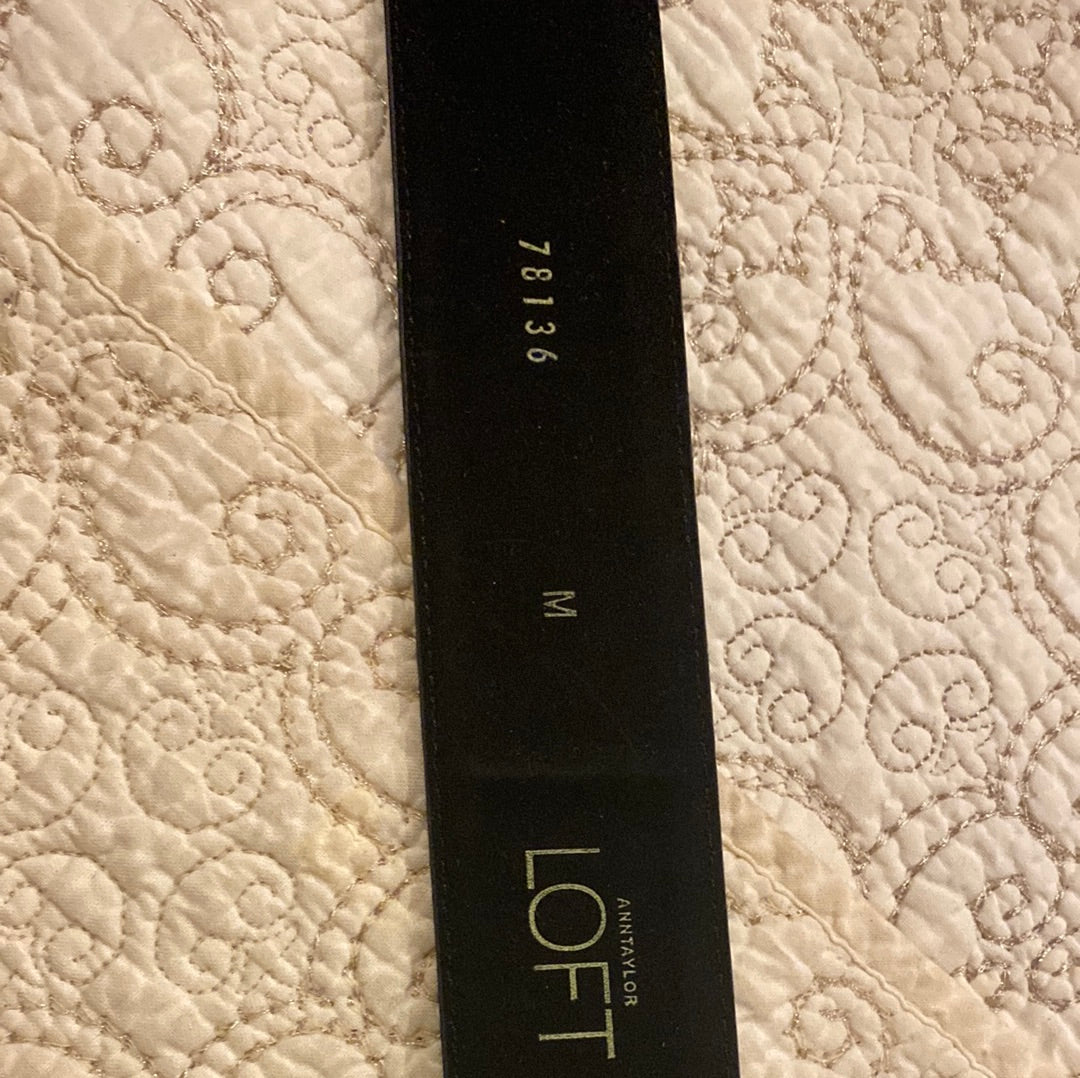 022822D Satin Medium Loft belt with silver HW